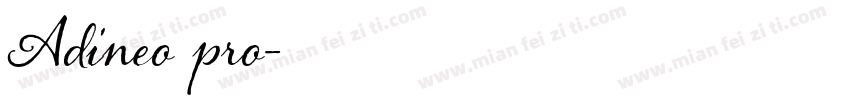 Adineo pro字体转换